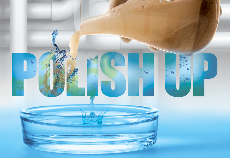 Reverse osmosis tightens grip on market