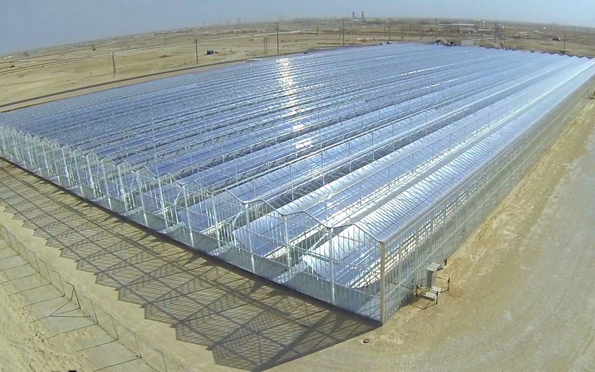 PDO and Glasspoint commission solar EOR project