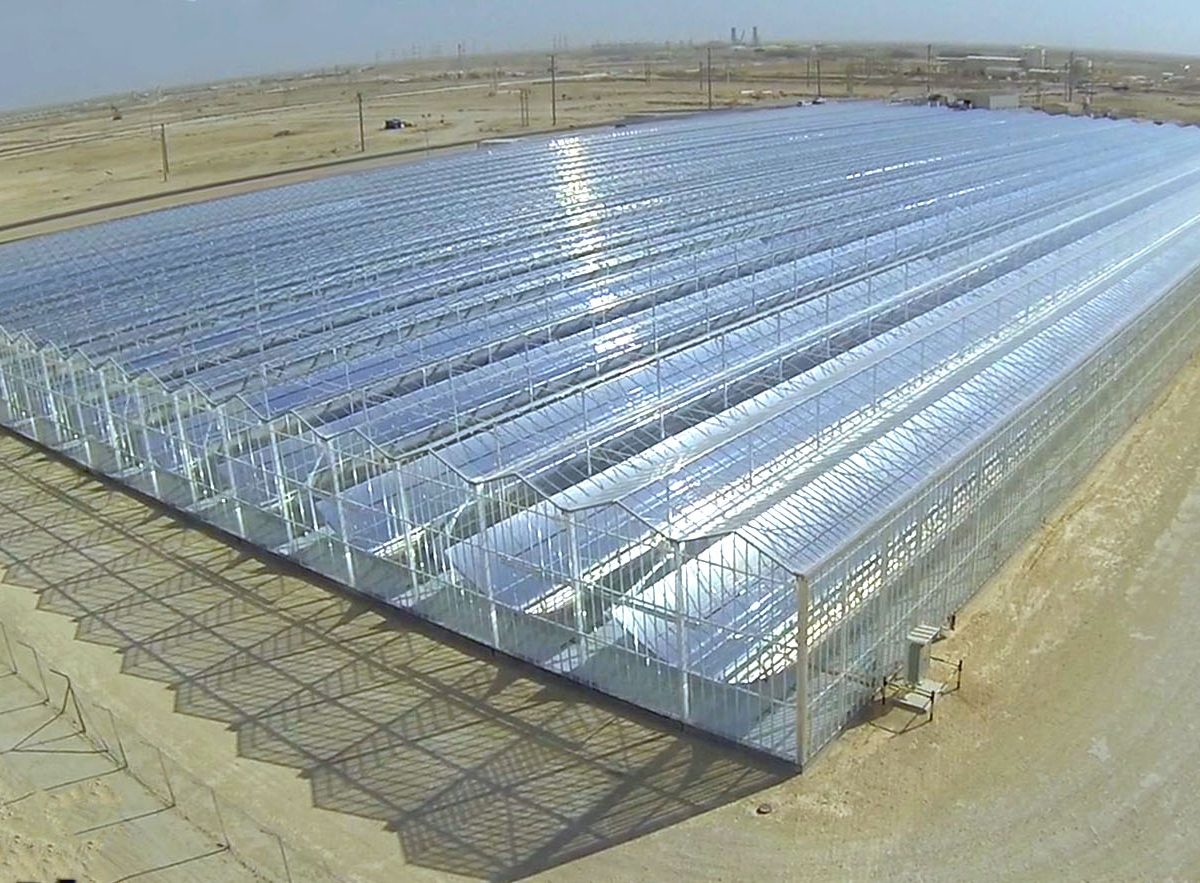 PDO and Glasspoint commission solar EOR project