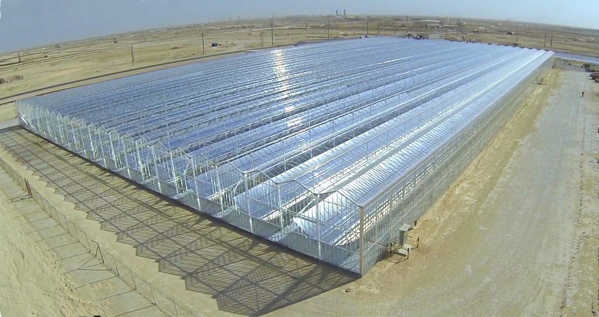 GALLERY: Glasspoint's solar EOR project in Oman