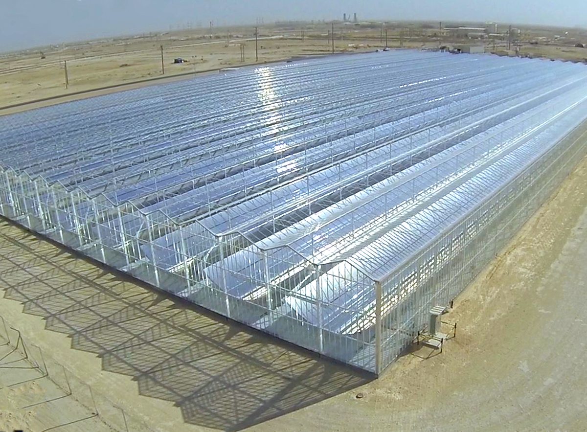 GALLERY: Glasspoint's solar EOR project in Oman