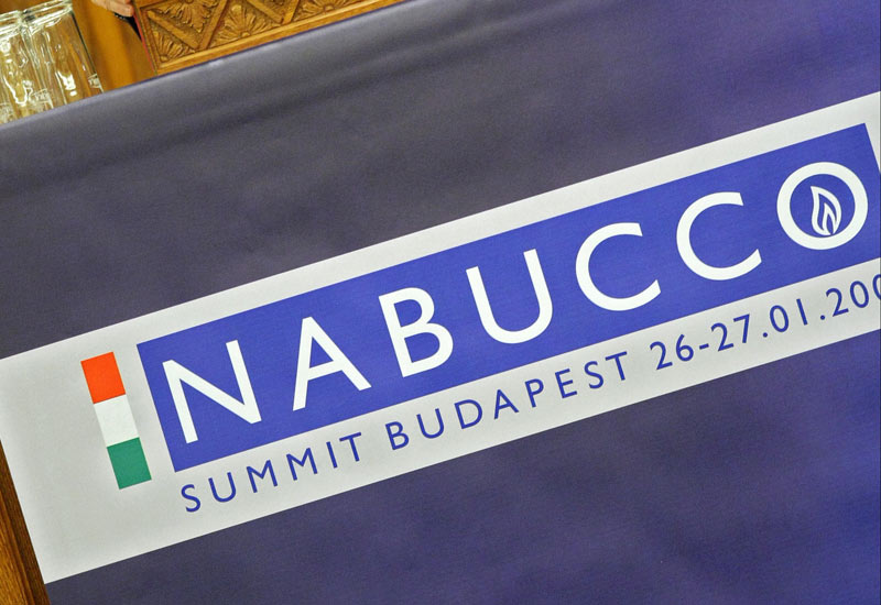 Nabucco firms could be in over heads says expert