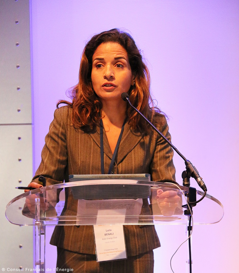 Dr. Leila Benali appointed chief economist at APICORP - Oil & Gas ...