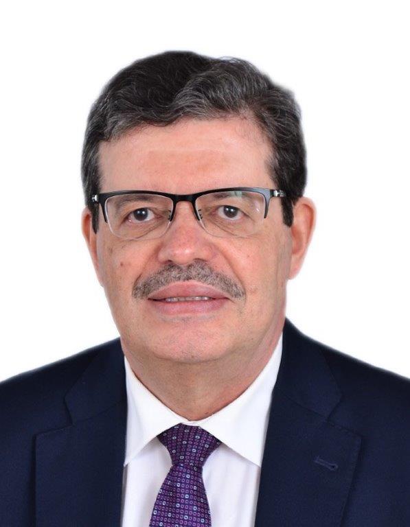 GECF Secretary General Mohamed Hamel