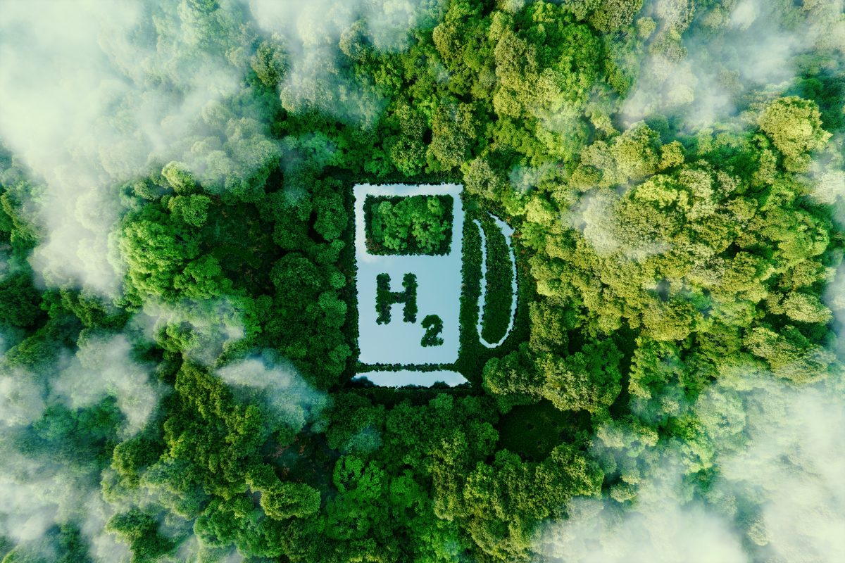 hydrogen-economy