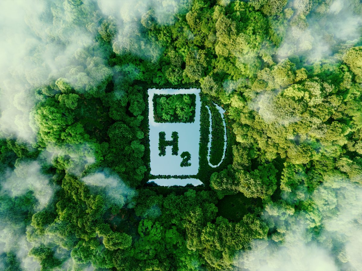 hydrogen-economy