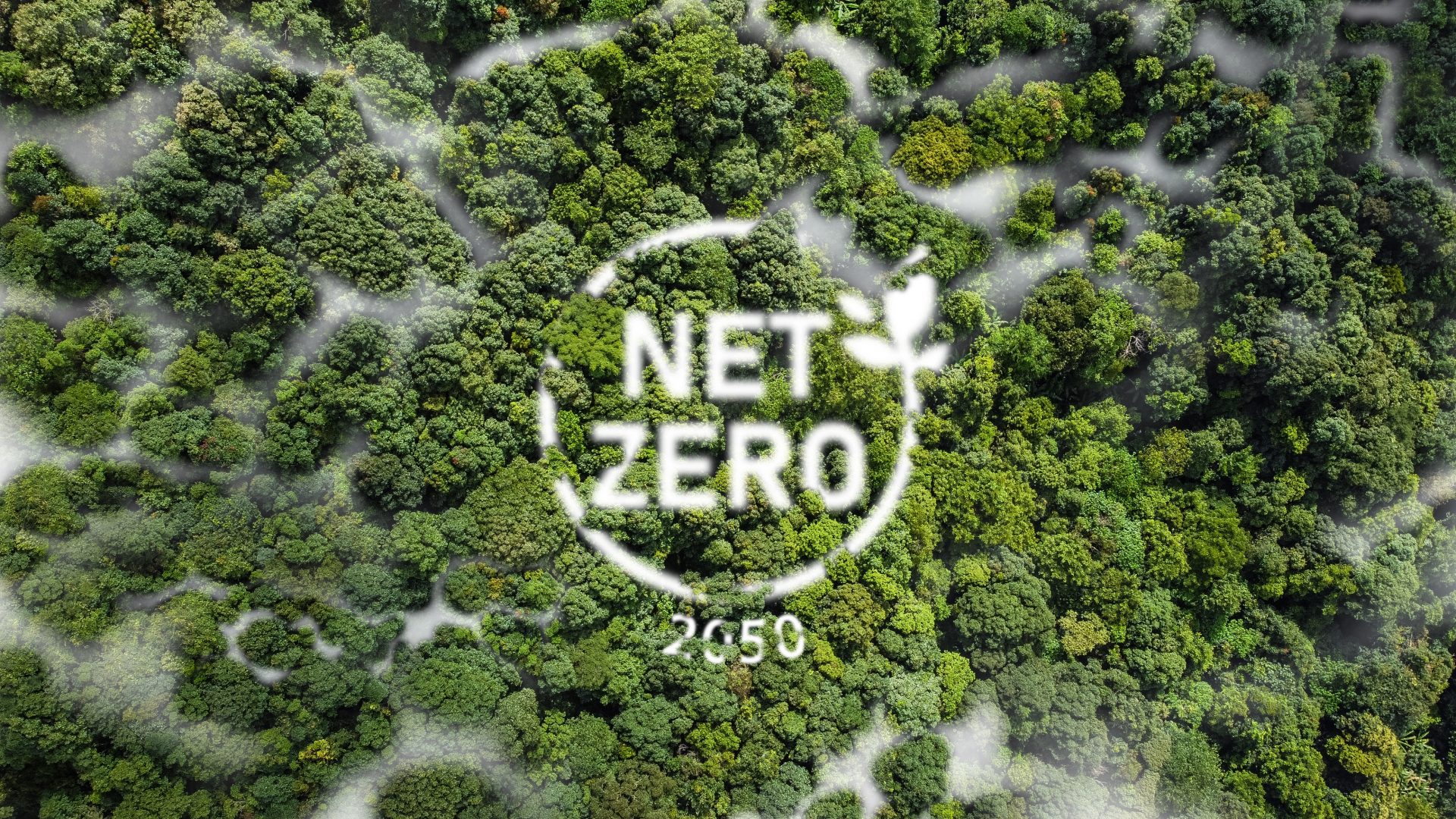 Energy Realities: Why the Path to Net Zero Starts with Us - Oil & Gas ...