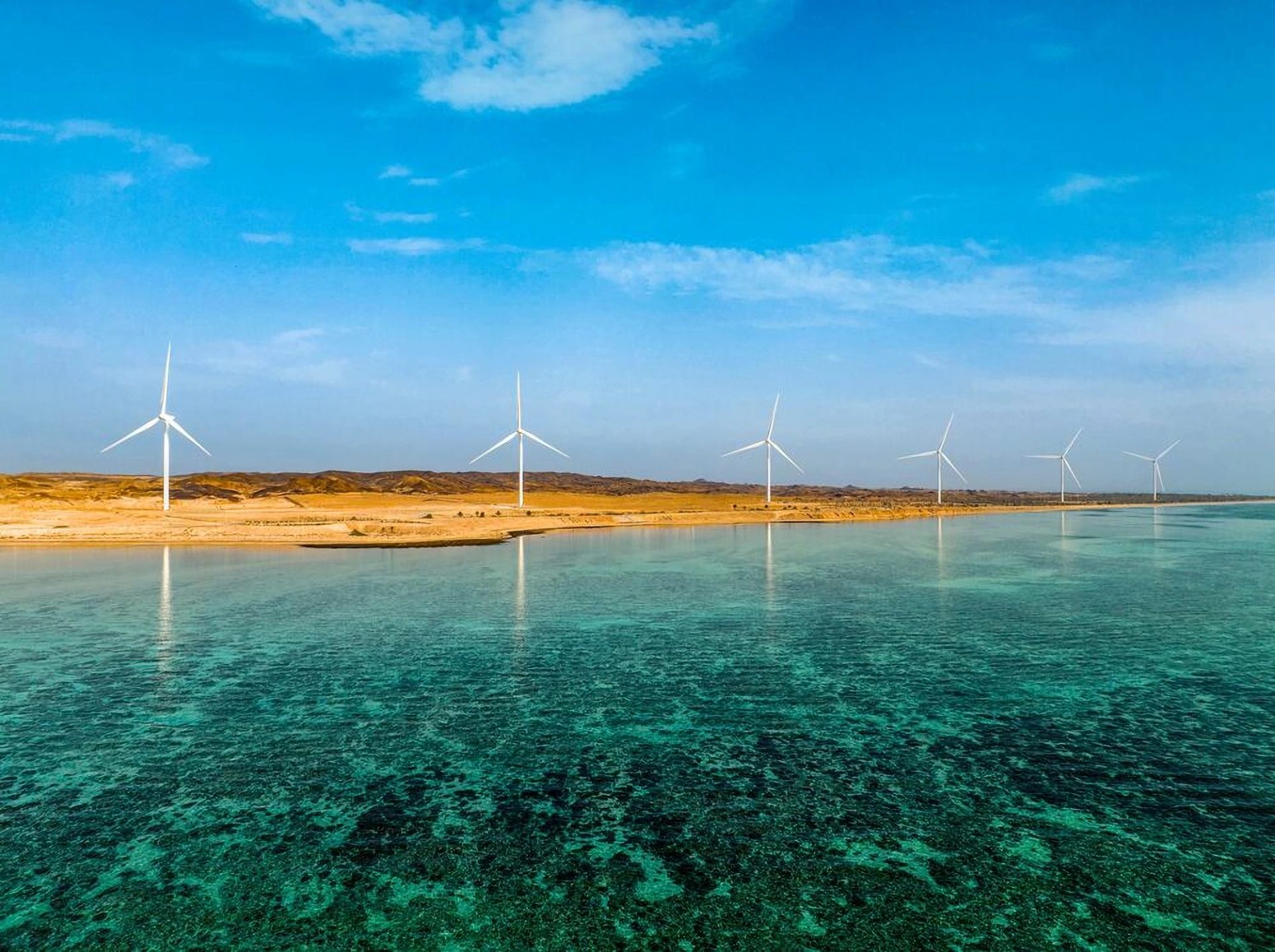 Abu Dhabi: EWEC launches EOI for 140MW Al Sila Wind IPP Project - Oil ...